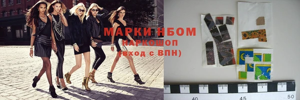 индика Богданович