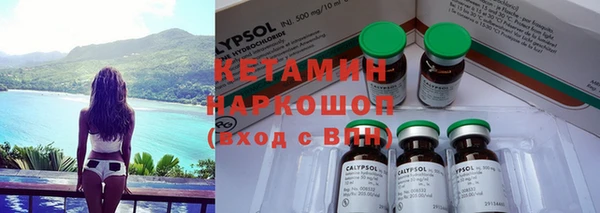 индика Богданович