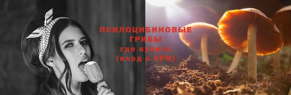 СК Надым