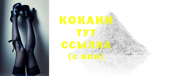 индика Богданович