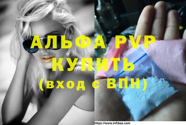 индика Богданович
