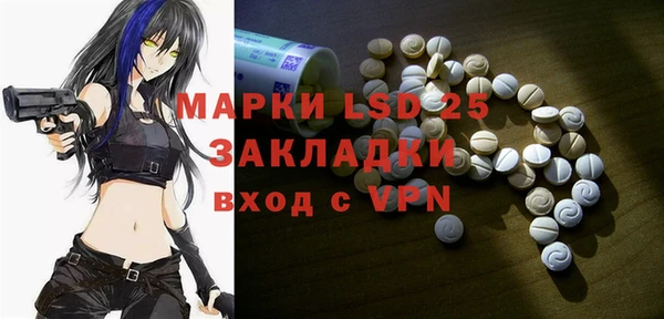 индика Богданович