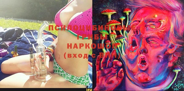 мдма Богородицк