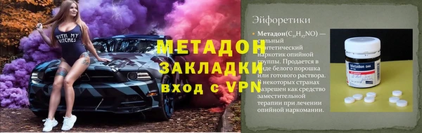 индика Богданович