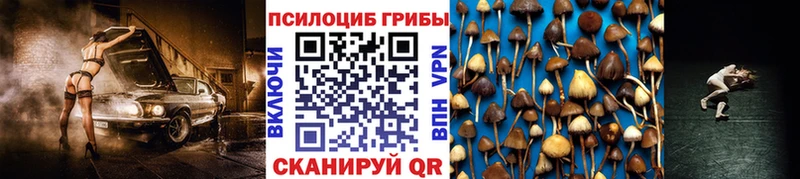 Галлюциногенные грибы Cubensis  Дубна 